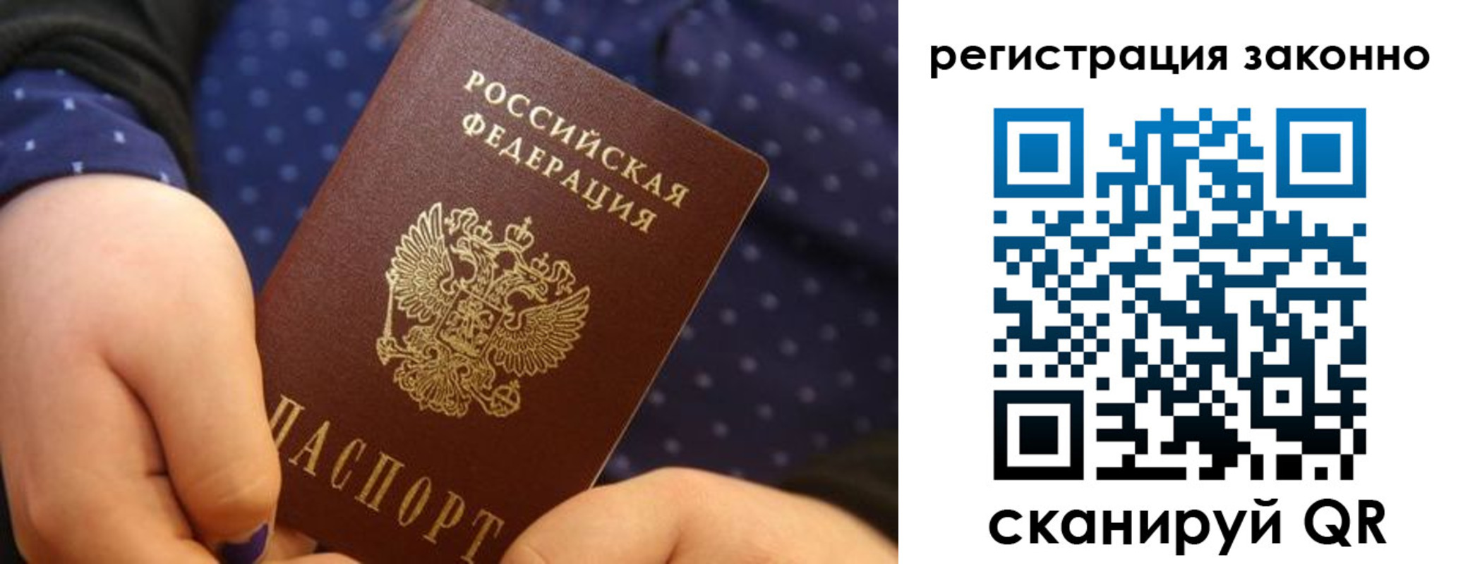 пропишу в квартире в Ермолино