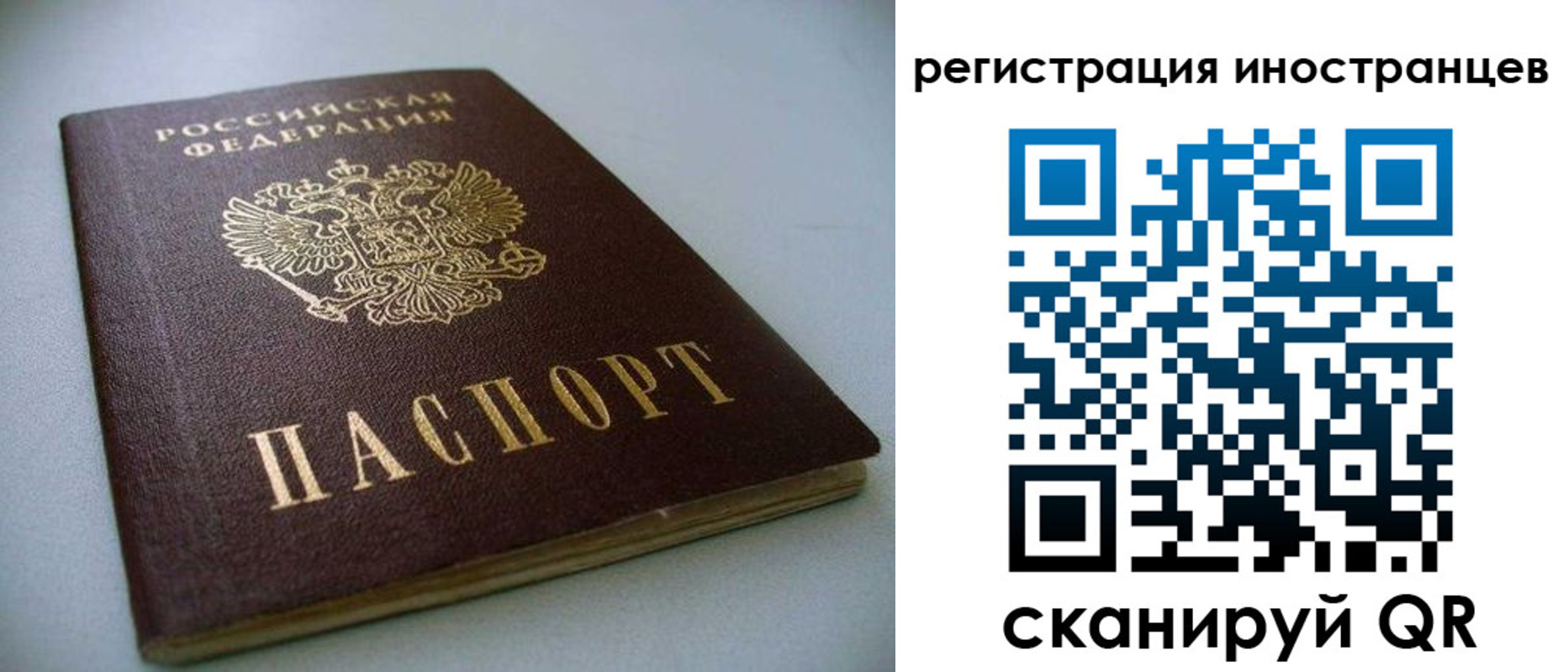 пропишу в квартире в Ермолино