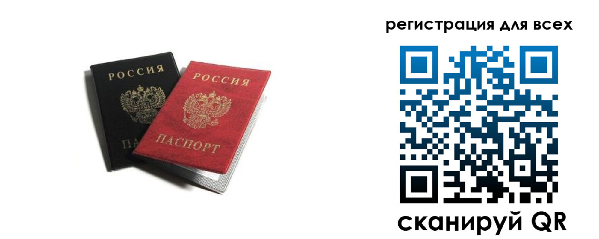 прописка гарантия в Ермолино